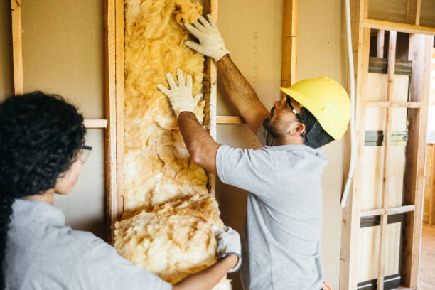 Best Home Insulation Services  in USA